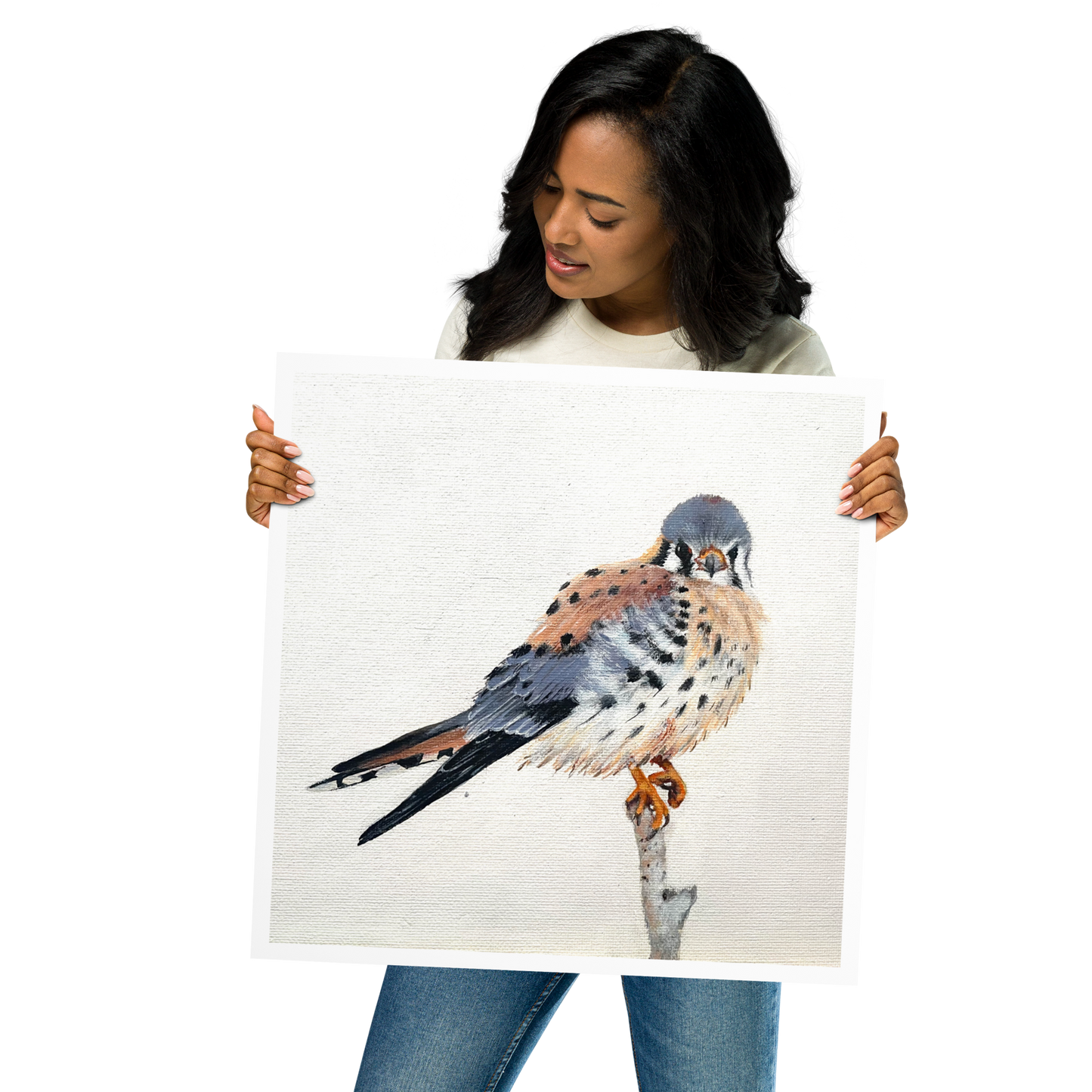 American Kestrel Painting Print