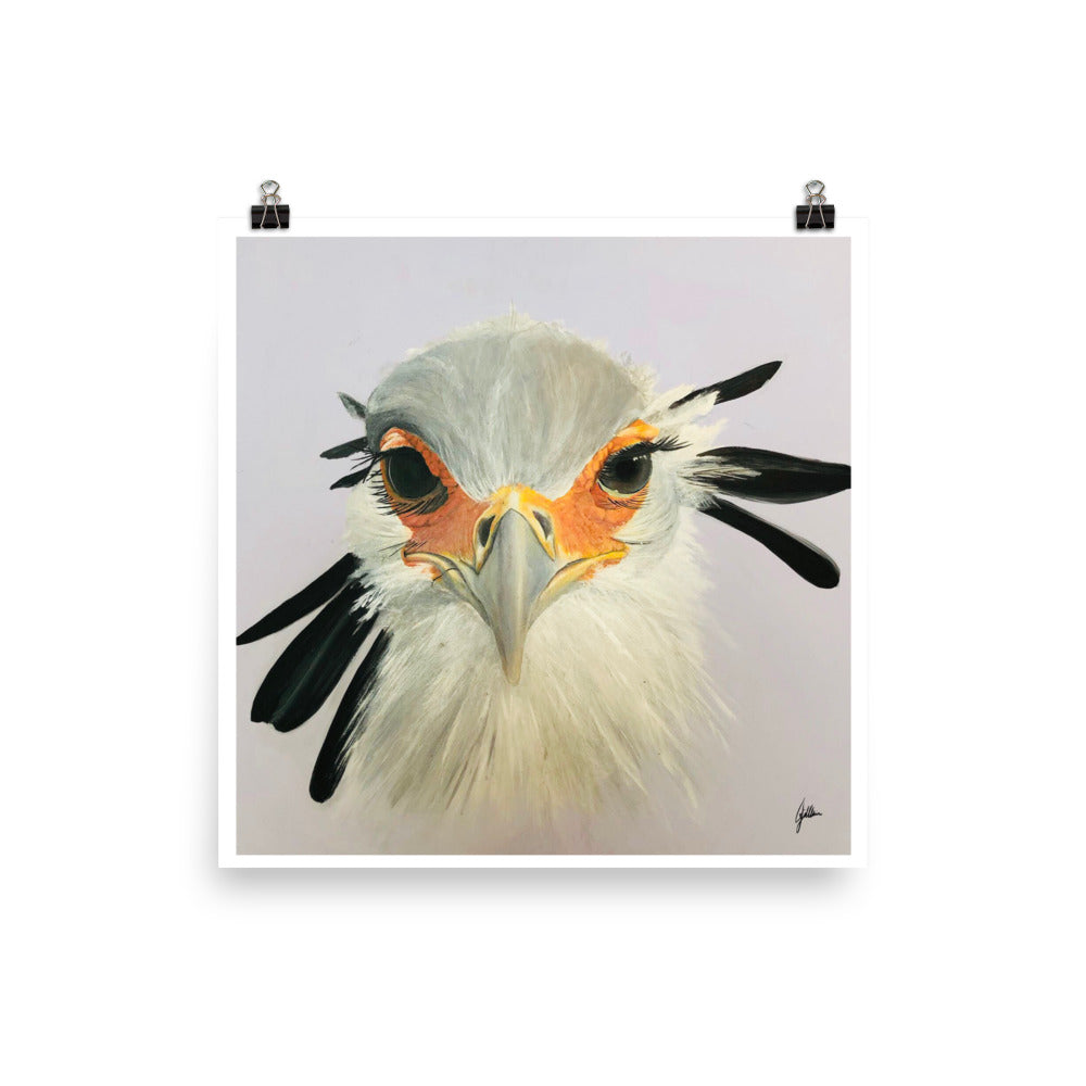 Secretary Bird Painting Poster